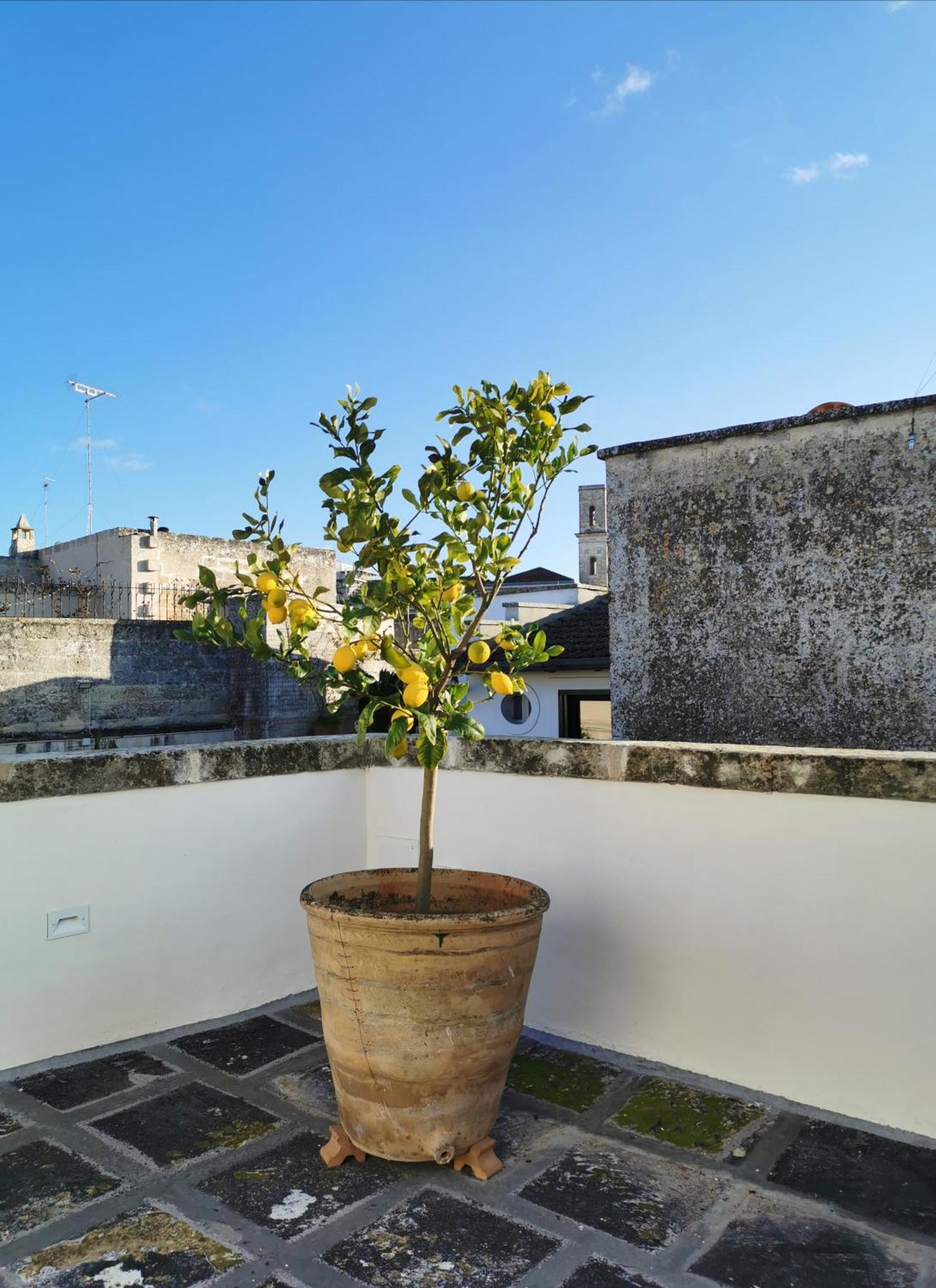 Coniger 4 Casa Vacanze In Centro Lecce Con Wi-Fi E Smart Tv Exterior foto